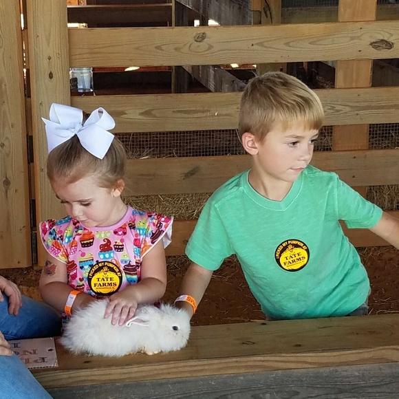 Meet your Posher, D - Picture 2 of 8